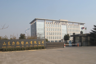 Cina Shandong Liyang Plastic Molding Co., Ltd.